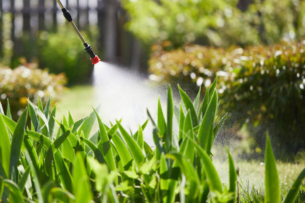 24/7 Emergency Mosquito Control experts in Garner, NC