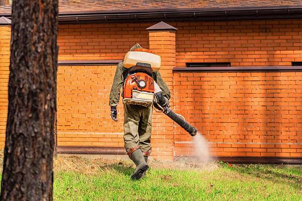 Top rated local Mosquito Control specialists in Garner, NC